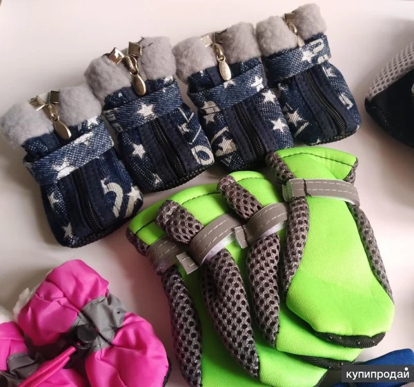 Фото Обувь для собак
