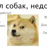 Выгул собак