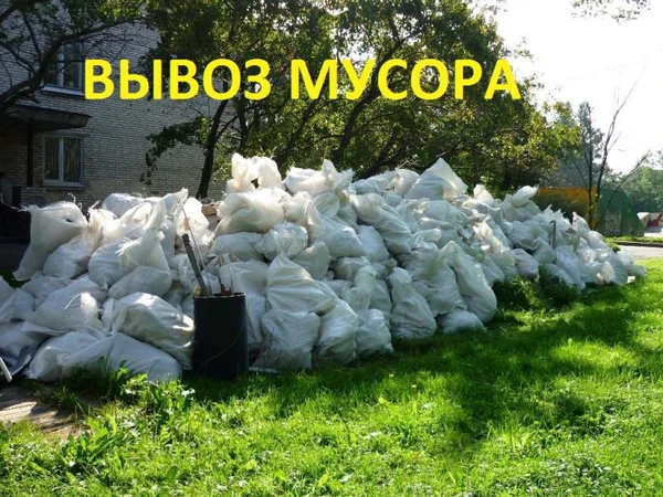 Фото вывоз мусора 