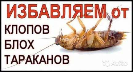 Фото Обработка от тараканов,клопов,блох и др.вредителей