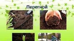 Фото Навоз, земля, перегной