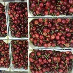 Фото №6 Продаем черешню