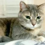 Фото №5 Алиса ждет любящих родителей