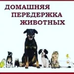 Возьму на передержку 