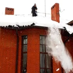 Фото №2 в Краснознаменск Спил и Обрезка деревьев. 
