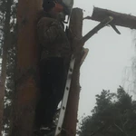 Фото №2 Удаление Деревьев 