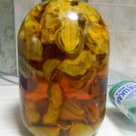 Фото №6 гриб Весёлка