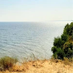 Фото №9 Дача 6 соток, СНТ Центральный, Дубовский р-н, Волгоградская обл.