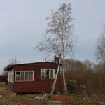 Фото №21 СПИЛ КОРЧЕВАНИЕ ВЫРАВНИВАНИЕ ПЛАНИРОВКА Луга и район. 