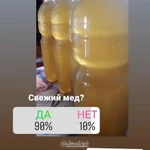 Фото №4 Алтайское варенье/мед/чай.