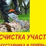 Расчистка участка. Демонтаж спил деревьев Луховицы