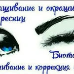 Фото №5 Наращивание ресничек,биотатуж, оформление бровей