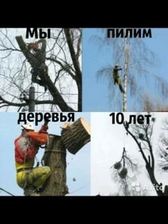 Фото Спил дерева обрезка валка корчевание