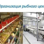 Консультирование в рыбоперерабатывающий отрасли