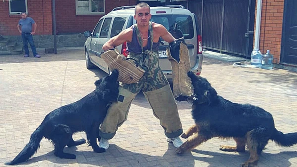 Фото Дрессировка собак всех пород 