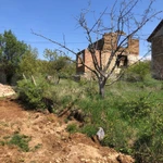 Фото №5 Лот  74213 В продаже участок 4 сотки правильной прямоугольной формы в СТ