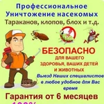 Уничтожение клопов тараканов клещей блох муравьёв