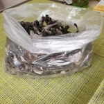 Фото №4 Чёрная лисичка сушёная