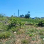 Фото №5 Лот  74236 Ровный, четырехугольный участок со сторонами 39 х 27 х 32 х 26