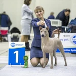 Фото №4 Хендлинг. Дрессировка