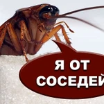 Уничтожение насекомых