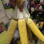 Фото №3 Свежие веточки березы, липы, ивы, осины