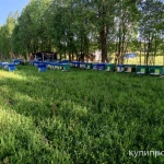 фото Пчелы, пчелопакеты, мед.