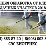 Фото №2 Обработка дачи от клещей Истра.Вызов специалиста