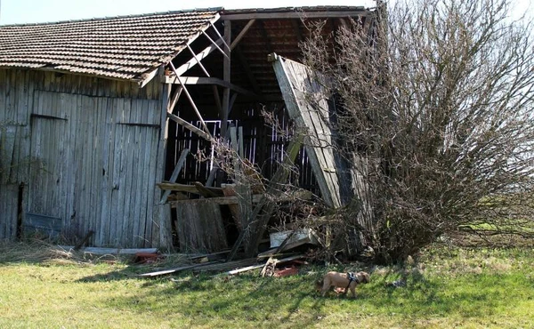 Фото Демонтаж от А до Я Весь комплекс работ