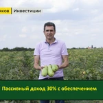 Фото №3 25-30% годовых. Инвестиции в компанию с производством.