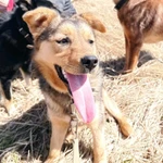 Фото №2 Юга