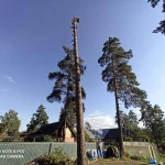 Фото №2 Профессиональное удаление аварийных деревьев