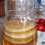 Фото №3 Чайный Гриб Комбуча Фанго