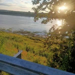 Фото №2 Участок Великоустюгский район д.Опалипсово