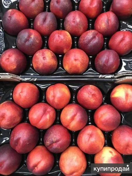 Фото Продаем нектарин