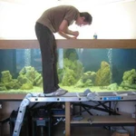 Обслуживание и дизайн аквариумов (профессионально)