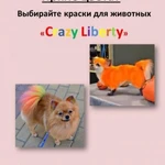 Фото №7 Стрижка собак и кошек