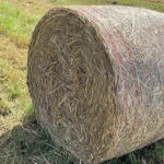 фото Продаем сено