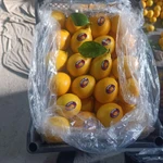 Фото №2 лимон