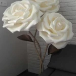 Фото №7 Ростовые цветы