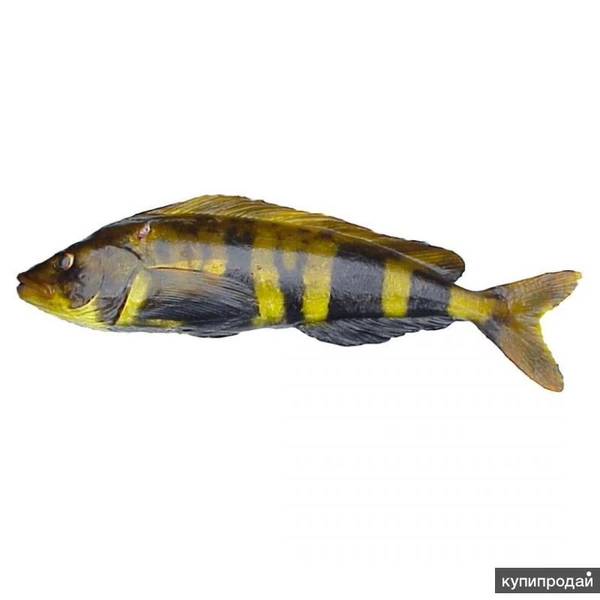 Фото Рыбное ассорти