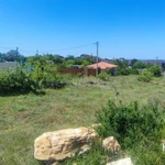 Фото №12 Лот  74236 Ровный, четырехугольный участок со сторонами 39 х 27 х 32 х 26