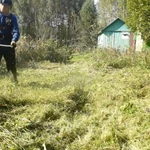 Фото №6 Ваш участок зарос Нужен покос травы Я помогу Вам