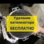 Бесплатное удаления катализатора