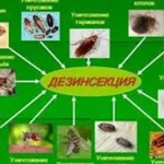 Дезинсекция(Уничтожение насекомых)