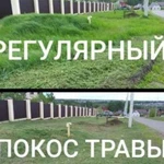 Покос травы