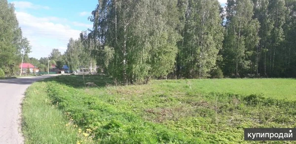 Фото Продажа Участка с/х назначения, Нижегородская область, Сокольский р-н