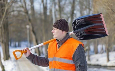 Фото Садовые работы и благоустройство вашего участка