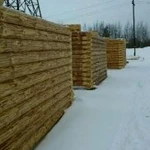 Фото №3 Срубы из зимнего леса Омская сосна