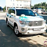 Фото №308 Свадебные машины, лимузины, микроавтобусы в Липецке